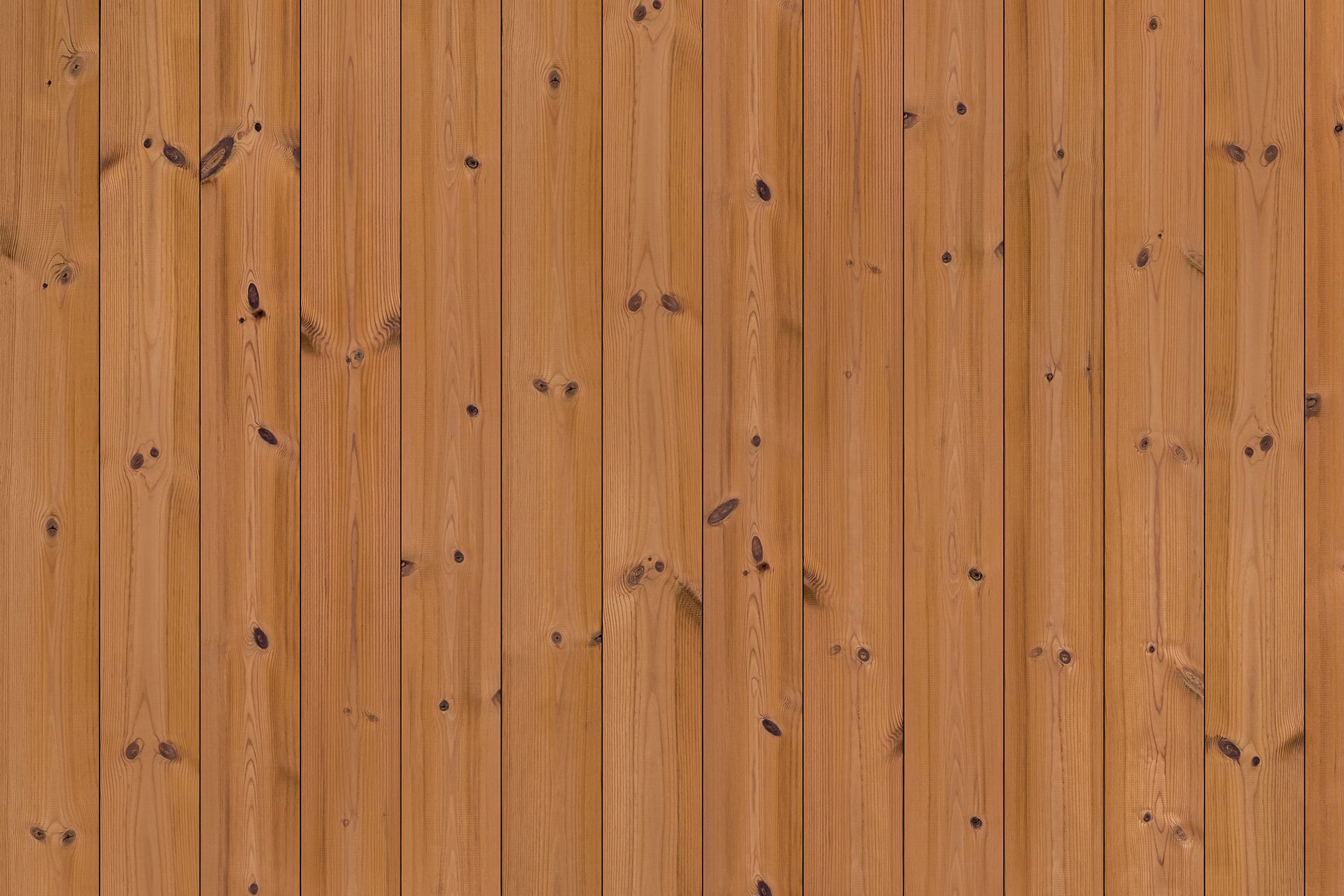 PINEC3